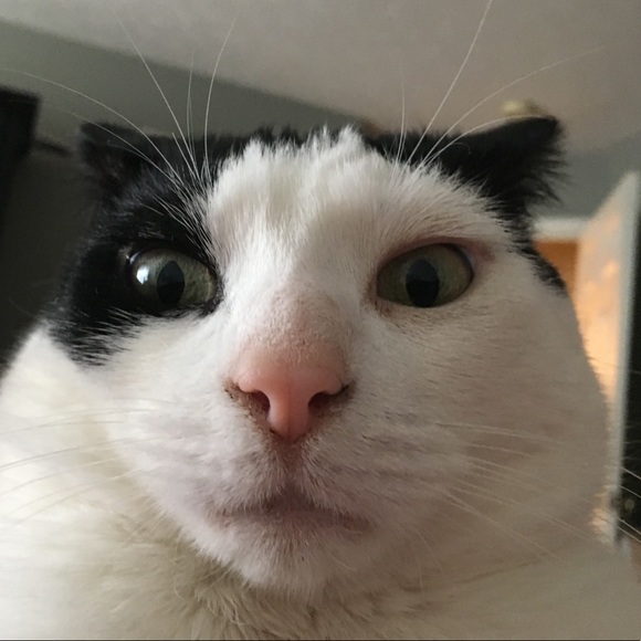 janetkevin95